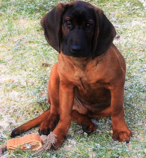 Ten vela vravný pohlad