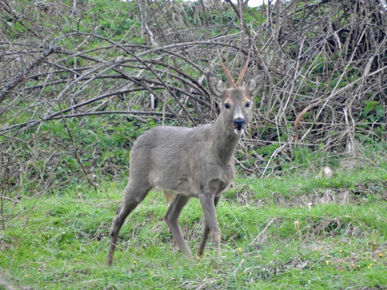 Tento mi nedá spať...