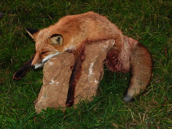 A že vraj do tretice všetko dobre ...