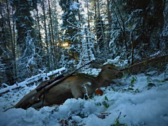 Posledné do plánu...