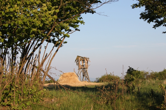 Veterán z ID 261348