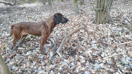 Absolútny nezáujem...