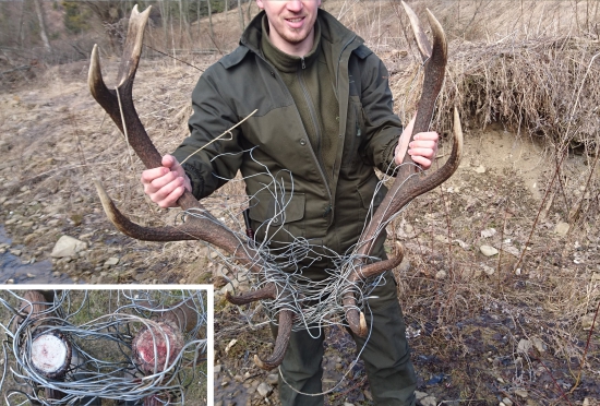 Keď určite musíš nájsť pár