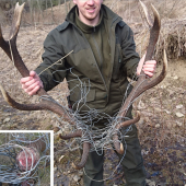 Keď určite musíš nájsť pár