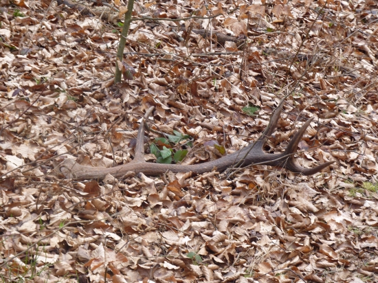 konecne :D sezona zahajena