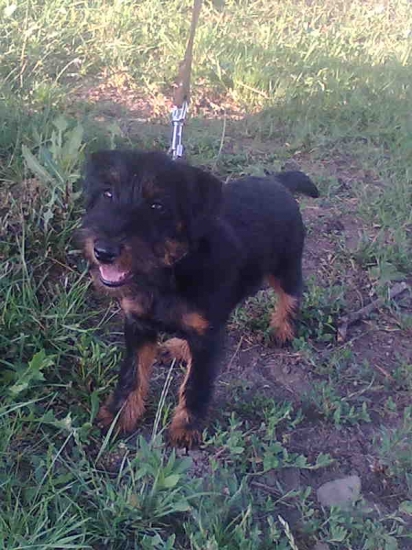 Fatima gerlachovsky dvor