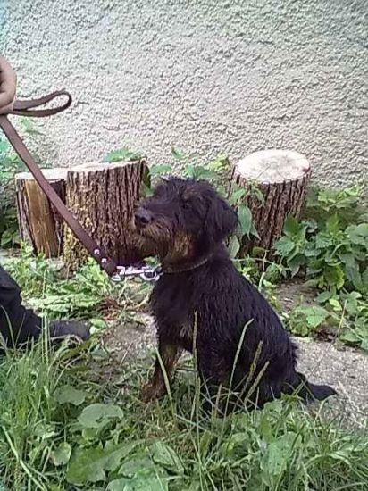 Fatima gerlachovsky dvor na strazi :D :D