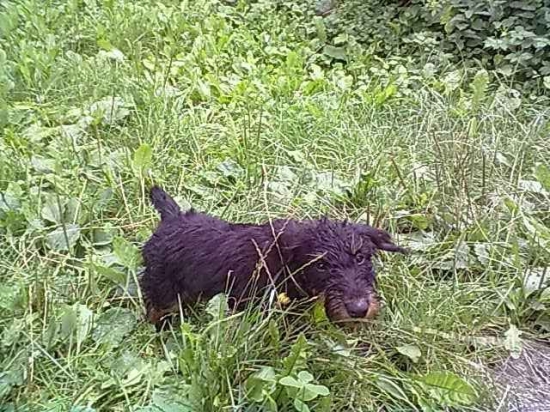 Skrity neskrity idem :D