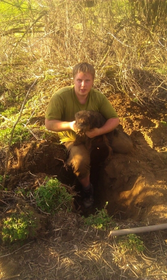 kolko driny chovat brlohara