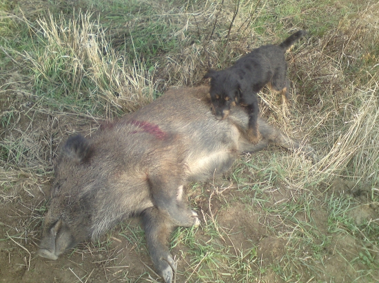 tyy mi uz nezdrhneš