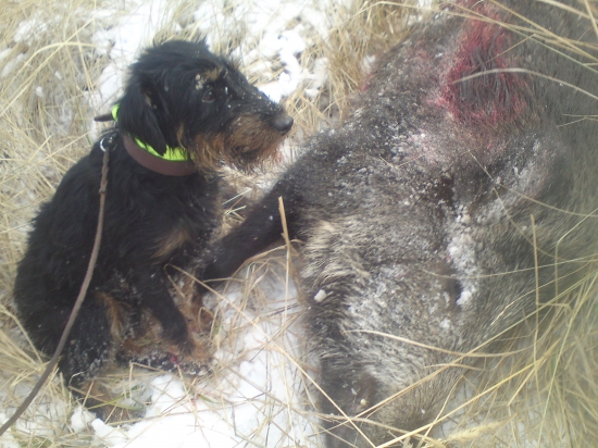 tak si strazim ulovok