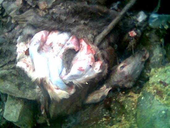 aj take veci sa najdu obcas