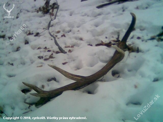 3.90 KG  14   torak
