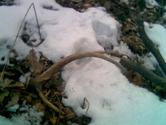 prvy toho roku,ale stary