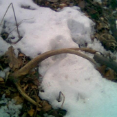 prvy toho roku,ale stary