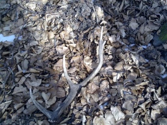 4: toho roku a zase minulorocny