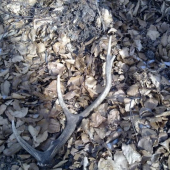 4: toho roku a zase minulorocny