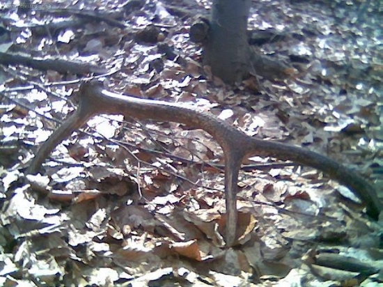 konecne aj tohorocny:D