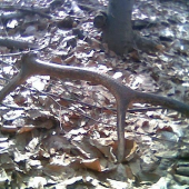 konecne aj tohorocny:D