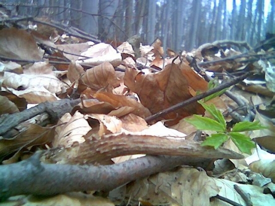 then sa tazko hladal:D