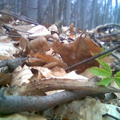 then sa tazko hladal:D