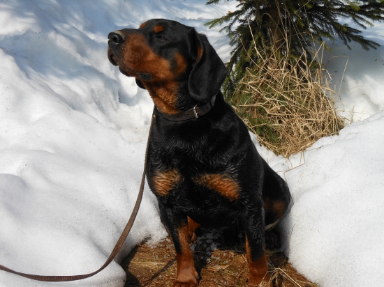 zbyly jen vzpomínky