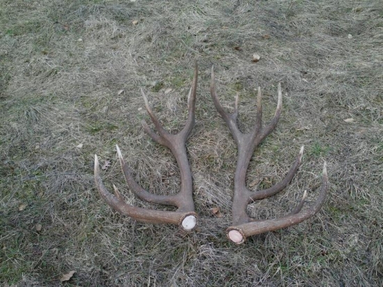 nepravidelny 16-torak