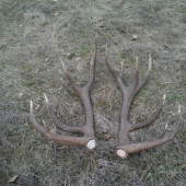 nepravidelny 16-torak