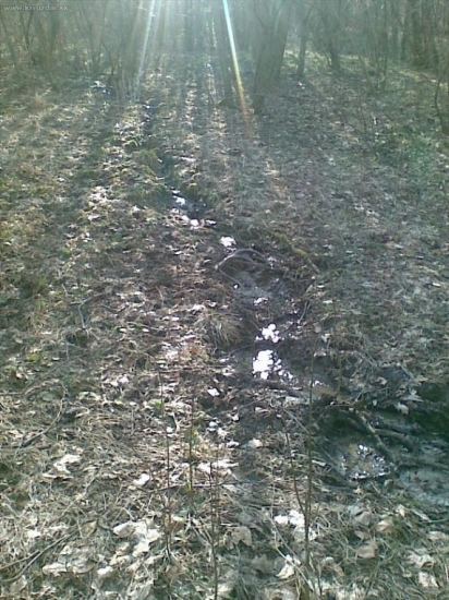 prvy pohlad .pod druhim sa zem zlahla