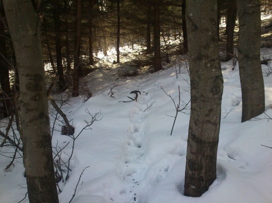 dnes sa zase postastilo