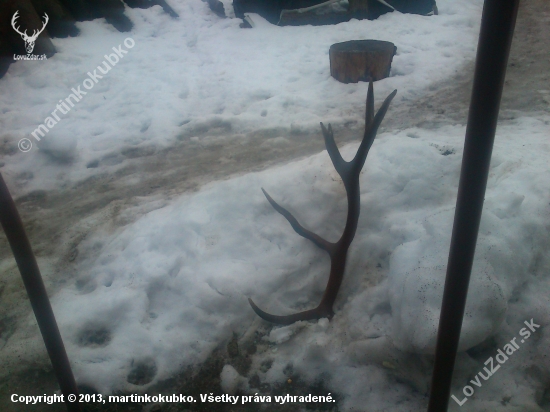 vcerajsi zhodik