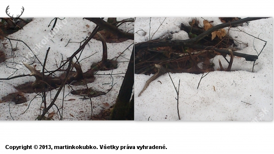 dnesna prechadzka