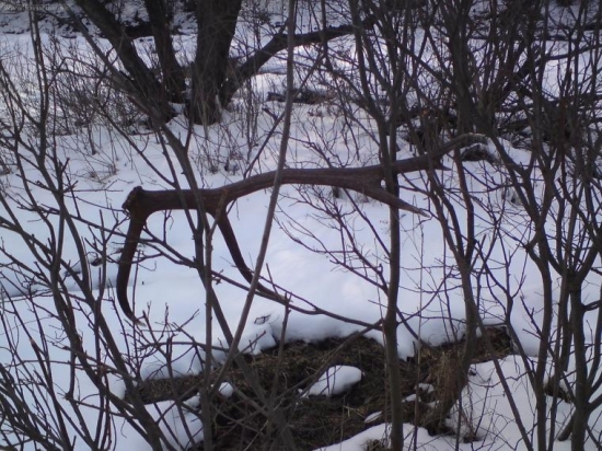 na oberačke- zhodov