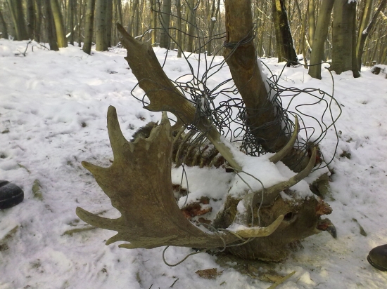 Na spoločnej poľovačke