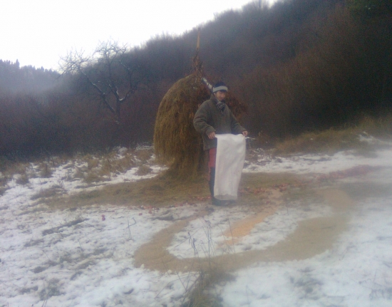 dnešne prikrmovanie