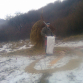 dnešne prikrmovanie