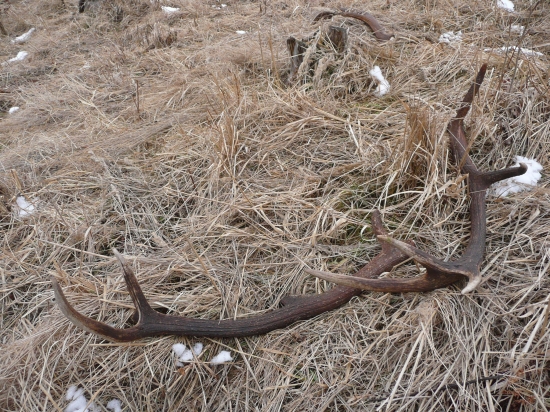 Keď dostaneš chuť..