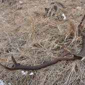 Keď dostaneš chuť..