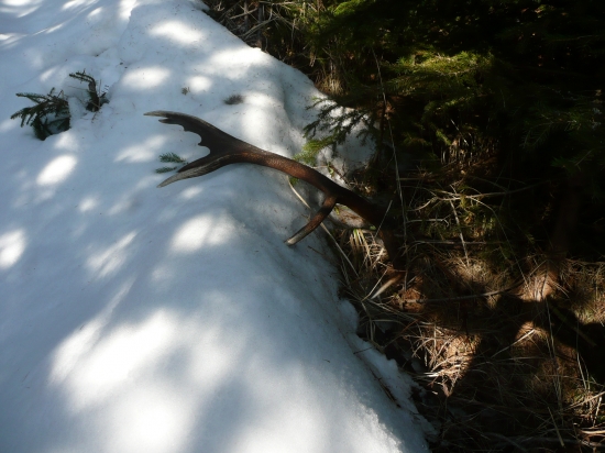 Pohľad pre vyvolených :)