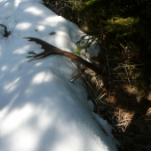 Pohľad pre vyvolených :)