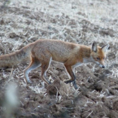 jednoducho ma obišla