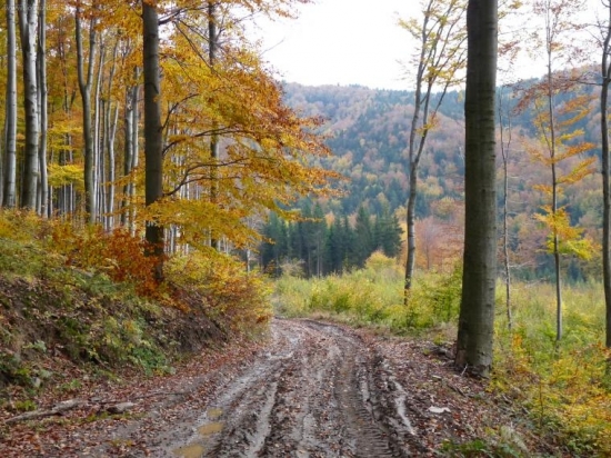Jeseň  vo  Vtáčniku