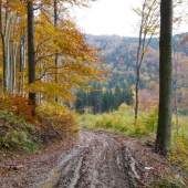 Jeseň  vo  Vtáčniku