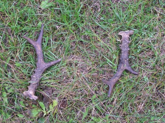 Takhle jsem je našel