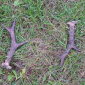 Takhle jsem je našel