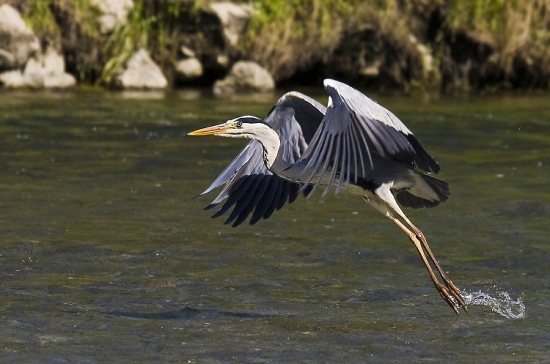 Nedarí sa, odlietam