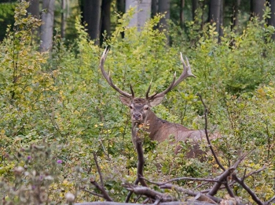 Nezabudnutelný zážitok