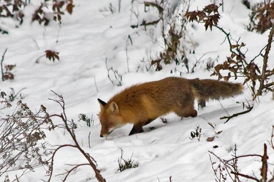 Nájsť tak niečo pod zub