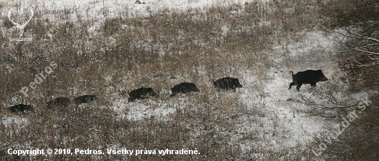 Útek z pohonu