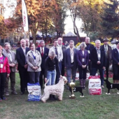 SLOVENSKÝ KOPOV Best in Show